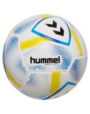 hmlAEROFLY TRAINING