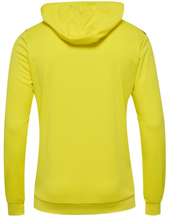 hmlAUTHENTIC PL HOODIE