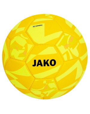Indoorball Iconic